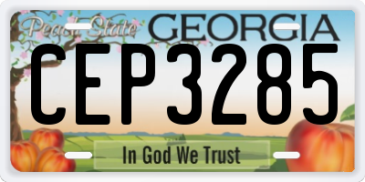 GA license plate CEP3285