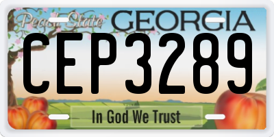 GA license plate CEP3289