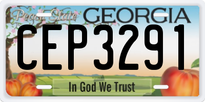 GA license plate CEP3291