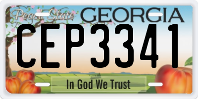 GA license plate CEP3341