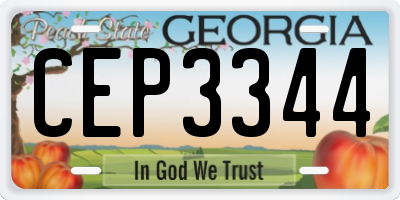 GA license plate CEP3344