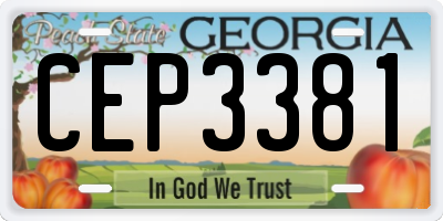GA license plate CEP3381