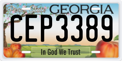 GA license plate CEP3389
