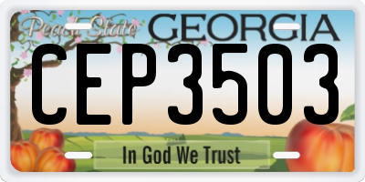 GA license plate CEP3503