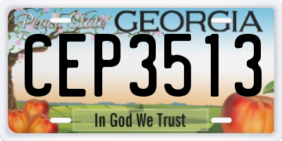 GA license plate CEP3513