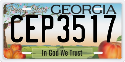 GA license plate CEP3517