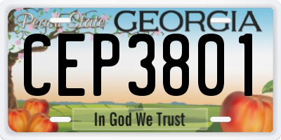 GA license plate CEP3801