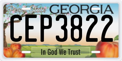GA license plate CEP3822