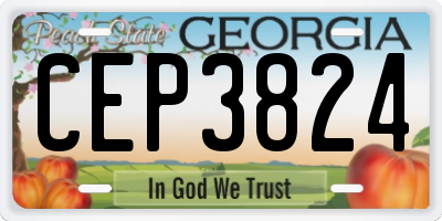 GA license plate CEP3824