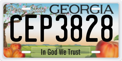 GA license plate CEP3828