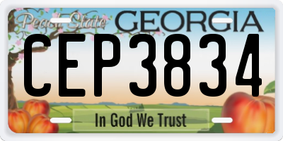 GA license plate CEP3834