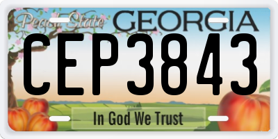 GA license plate CEP3843