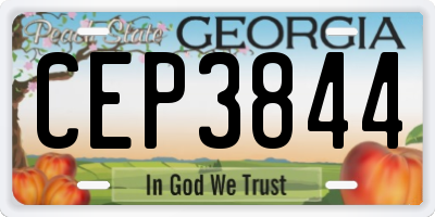 GA license plate CEP3844