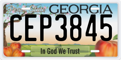 GA license plate CEP3845