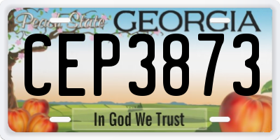 GA license plate CEP3873