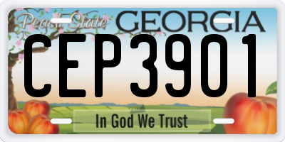 GA license plate CEP3901