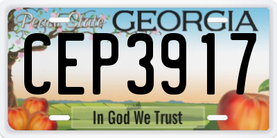 GA license plate CEP3917