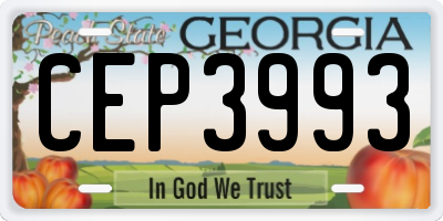 GA license plate CEP3993