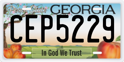 GA license plate CEP5229