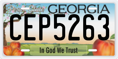 GA license plate CEP5263