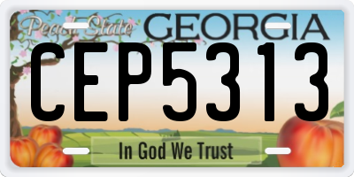 GA license plate CEP5313