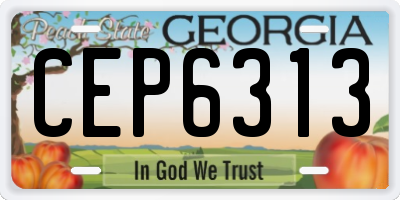 GA license plate CEP6313
