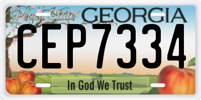 GA license plate CEP7334