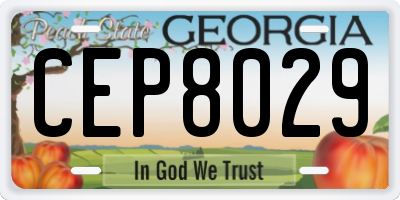 GA license plate CEP8029