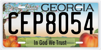 GA license plate CEP8054