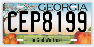 GA license plate CEP8199