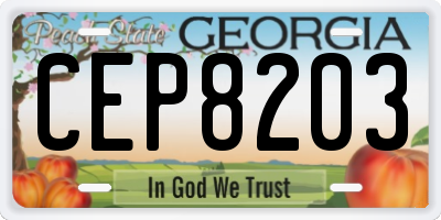 GA license plate CEP8203