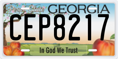 GA license plate CEP8217