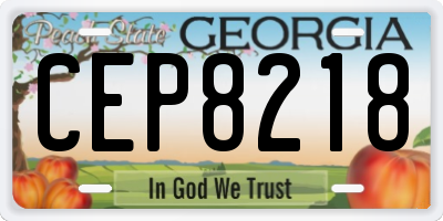 GA license plate CEP8218