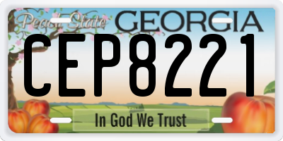 GA license plate CEP8221