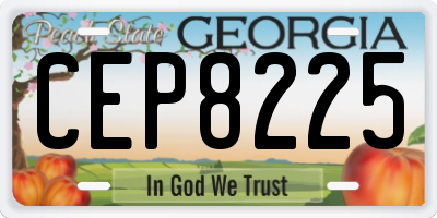 GA license plate CEP8225