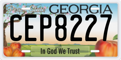 GA license plate CEP8227