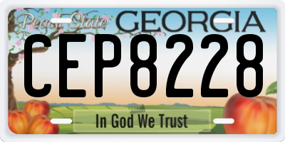 GA license plate CEP8228
