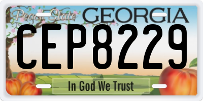 GA license plate CEP8229