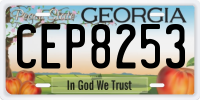 GA license plate CEP8253