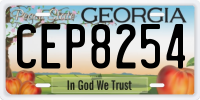 GA license plate CEP8254