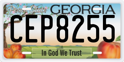 GA license plate CEP8255