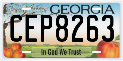 GA license plate CEP8263
