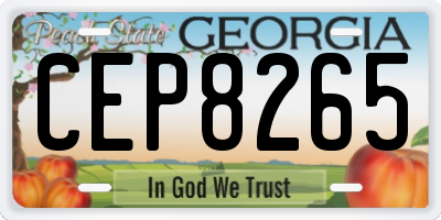 GA license plate CEP8265
