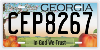 GA license plate CEP8267