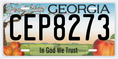GA license plate CEP8273