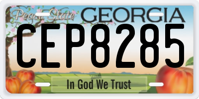 GA license plate CEP8285