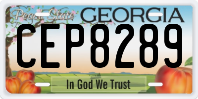 GA license plate CEP8289