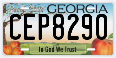 GA license plate CEP8290