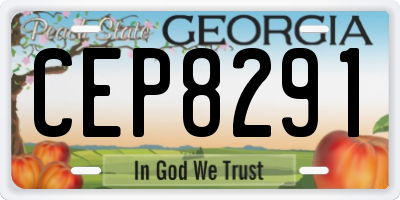 GA license plate CEP8291