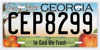 GA license plate CEP8299
